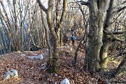 82 Si cammina su tappeti di foglie in faggeta